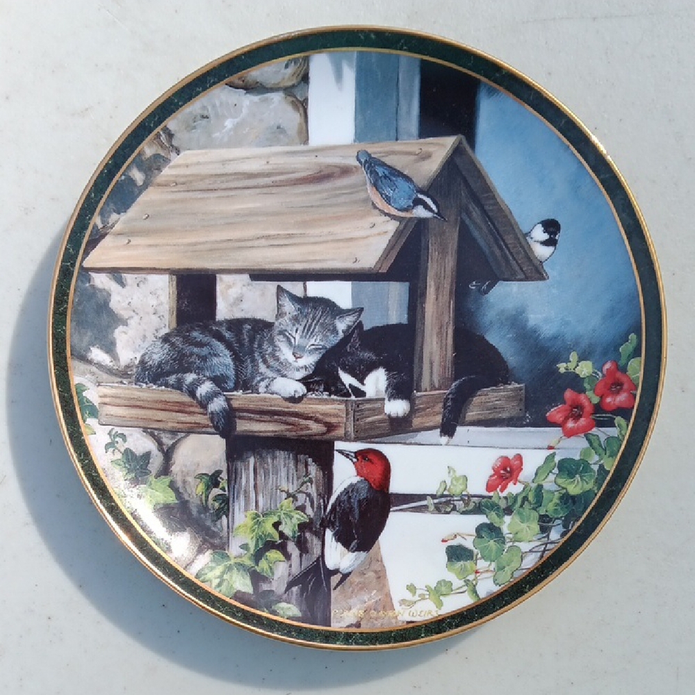 Collector Plate Full House By Persis Weirs 1996 Bradford Exchange Wild Wings